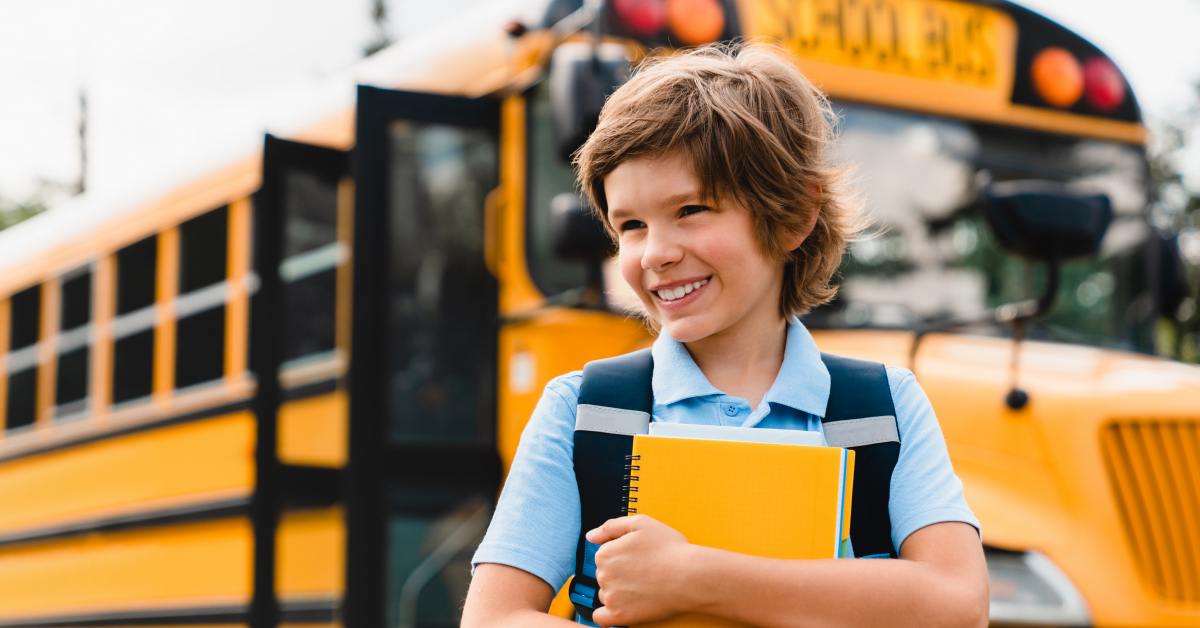 Direito Constitucional: Direitos Fundamentais e Federação Brasileira