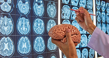 Interpretação de Textos